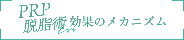 PRP脱脂術効果のメカニズム